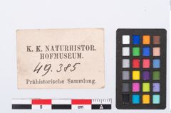 Etikett zu Silbermünze (NHMW-PRAE-049385)